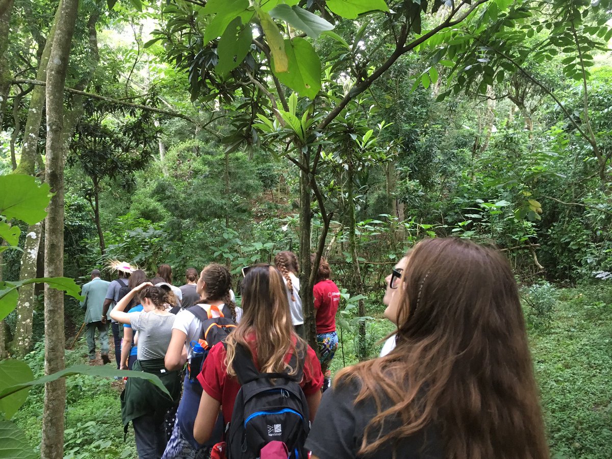 HSO_Ethiopia's tweet image. On a hyena hunt at Aregash Lodge #geographyexploration #HSOethiopia2017