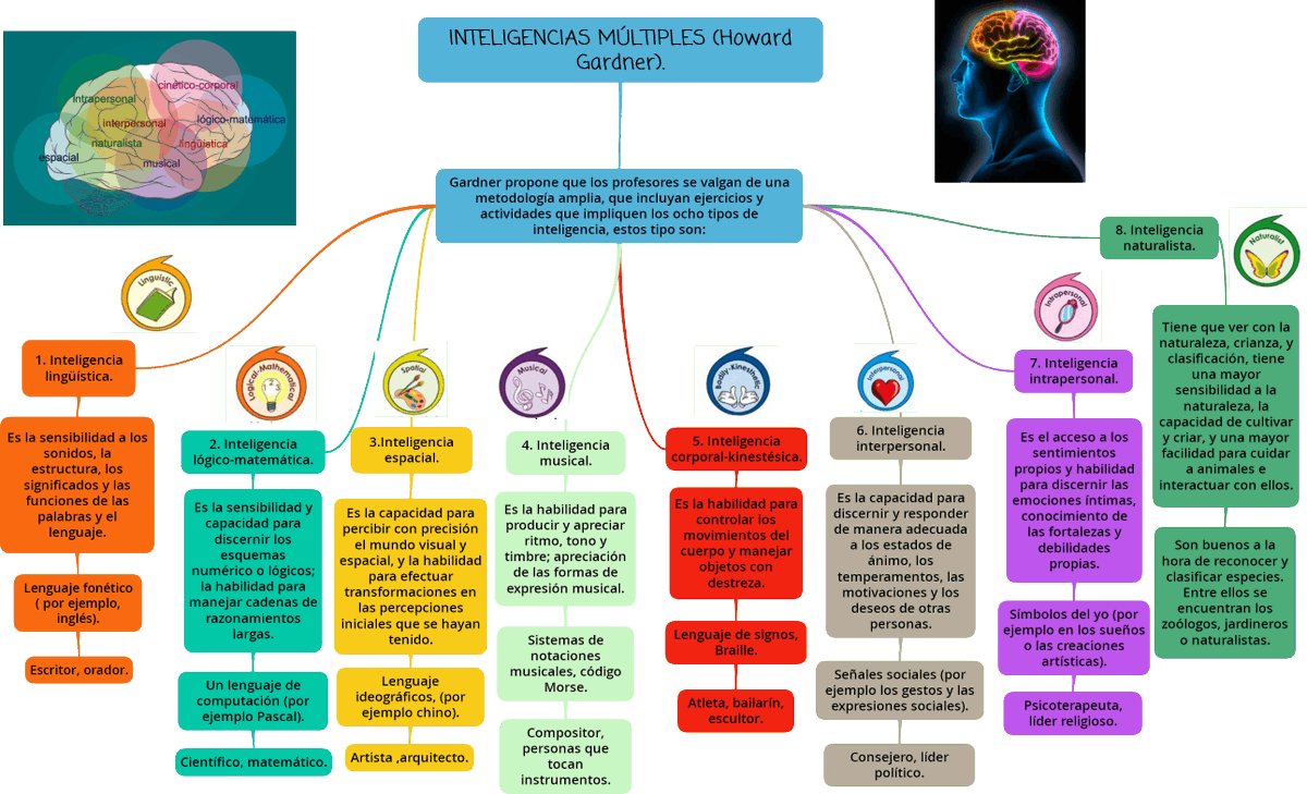educaINTEF's tweet photo. Mapa conceptual de las Inteligencias Múltiples de Gardner https://t.co/6fqjQy8G9f via @gesvin @AitorMaestroEF #infografía #InteliMooc https://t.co/uoMh741uUY