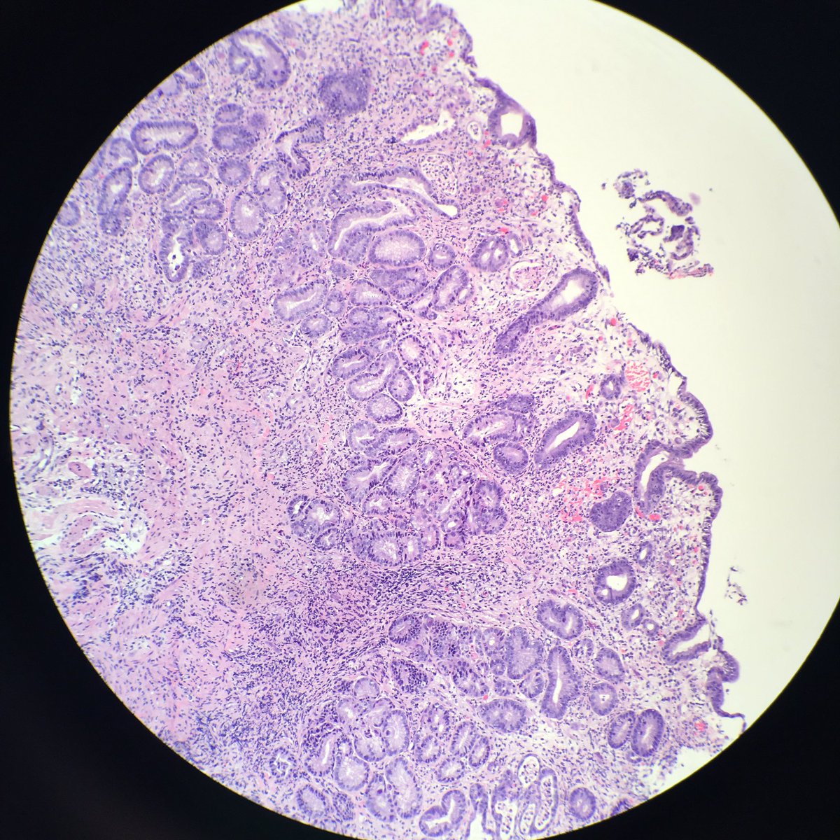 Donald Christensen tweet media