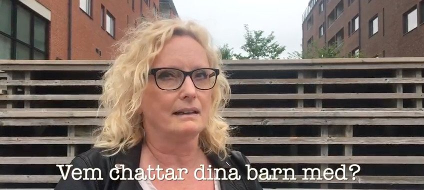 SEKTIONEN av Ingrid Elfberg - om youtubers och ondska på nätet mynewsdesk.com/se/bokfabriken…