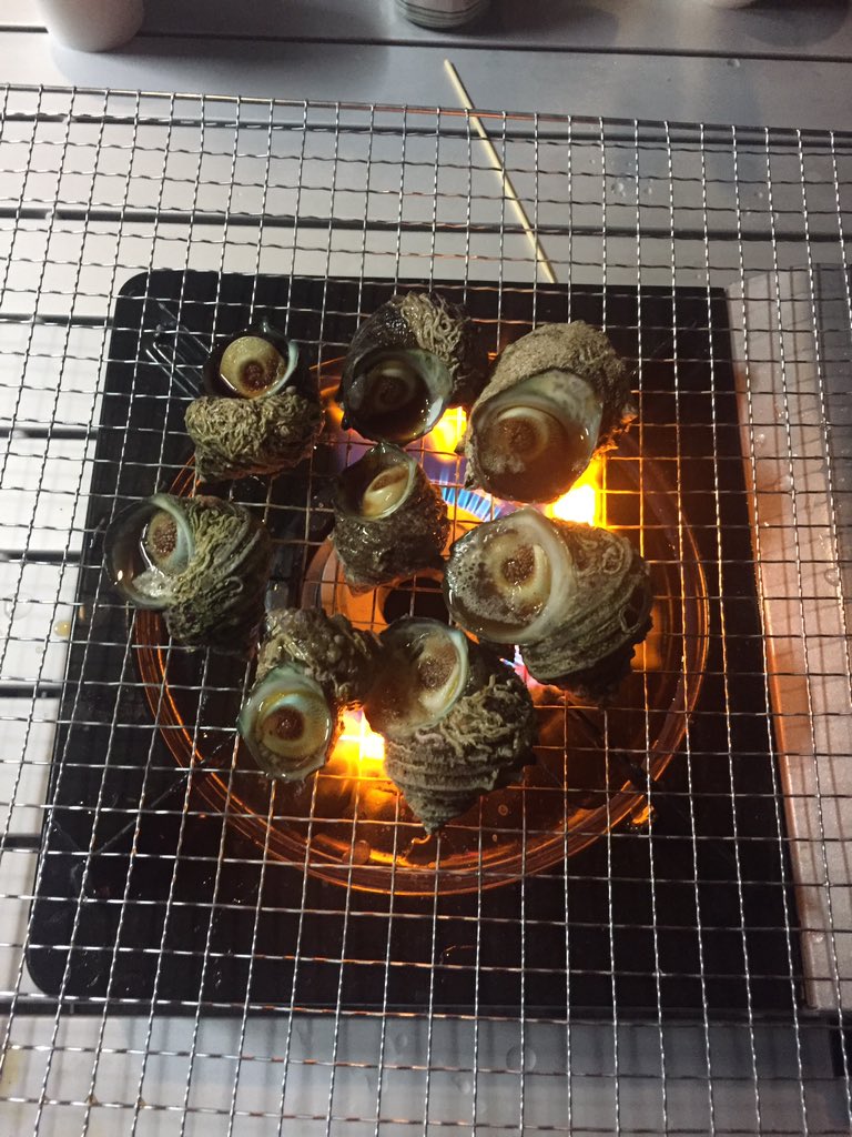 yusuke39516922's tweet photo. サザエ1時間で30匹ぐらいしばいて寝て起きたらサザエさんヘアーなってた… https://t.co/3YQQWRoi50