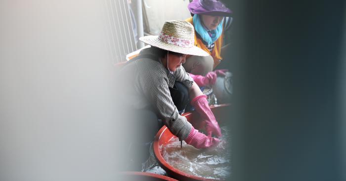 김정숙 여사, 청주 수해현장 찾아 4시간 가량 자원봉사
news.khan.co.kr/kh_news/khan_a…