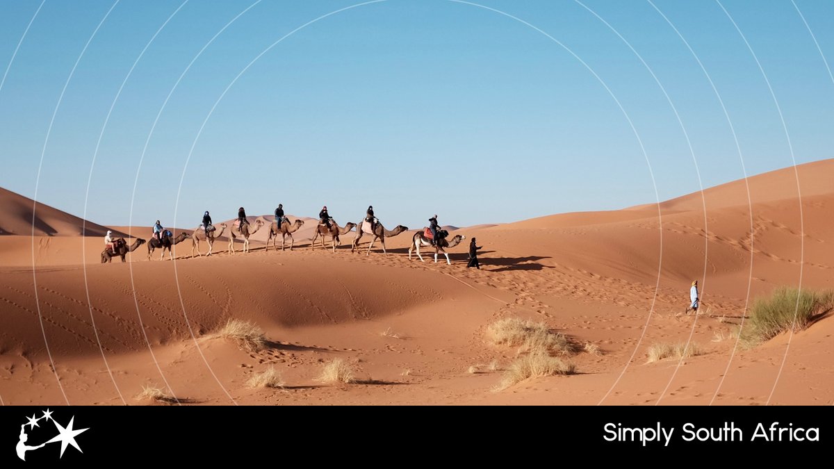 Il Viaggio J&V tweet media