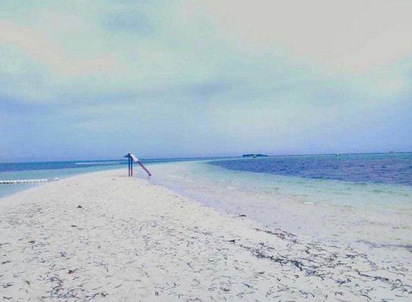 femaletrotter's tweet image. Waited for hours until this beautiful sandbar showed up.
#ExperienceThePhilippines #Travel #Sandbars #TravelPH #Backpacking #Beach #Beaches