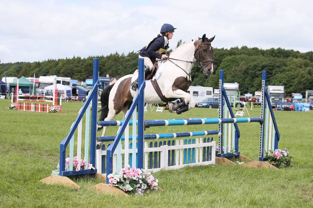 AbbyJones Equestrian tweet media