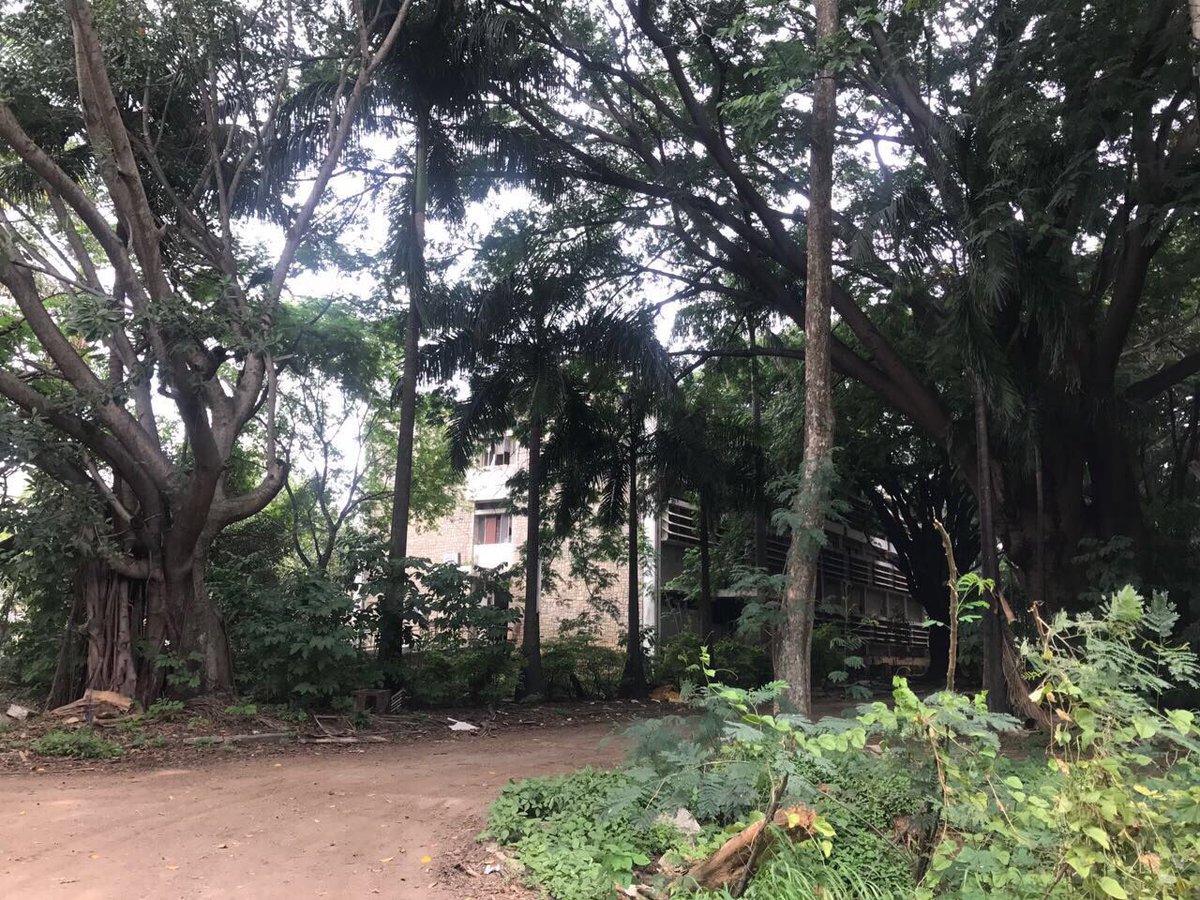 ravichandar's tweet photo. Adaptive reuse of buildings at #NGEF would have given #Blr biennale scale spaces. Being demolished 😐#shrinkingpublicspaces #needvision https://t.co/O7RRgTlIAV