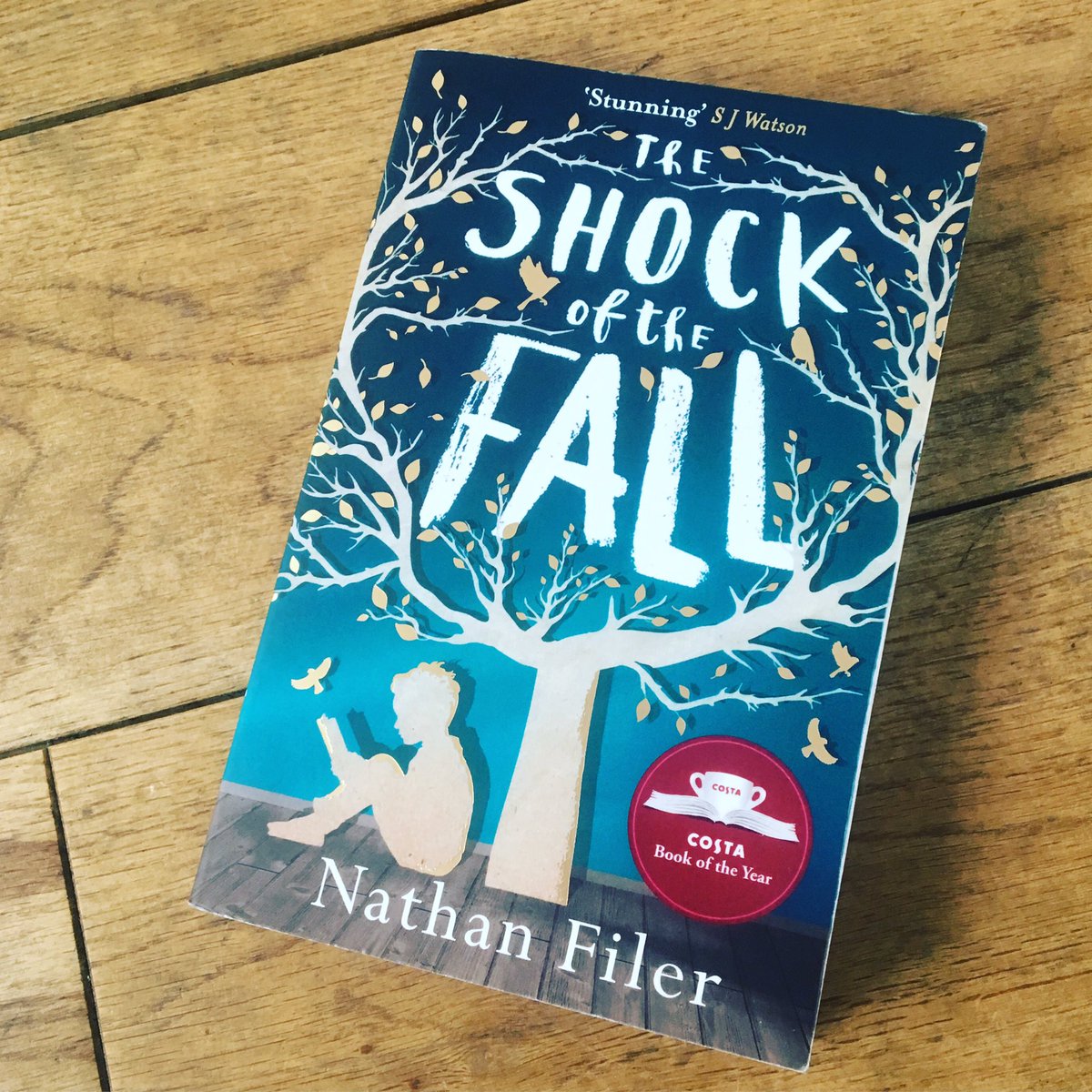 AdamMaidment's tweet photo. Just finished reading #theshockofthefall by @nathanfiler - probably the quickest I've ever read a book. 👌🏼 https://t.co/KIyuZMIY2n
