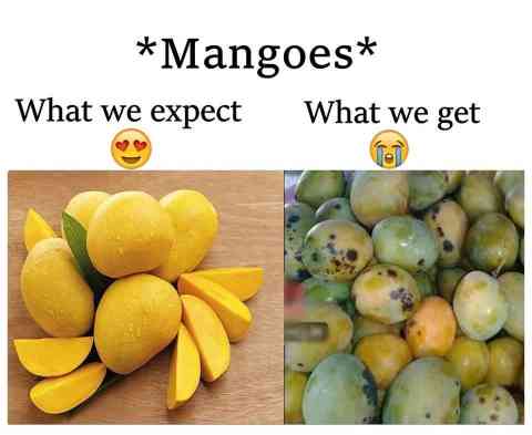 fu9ny_com's tweet photo. #Mangoes🤔😀 https://t.co/IRe03N9Ixx