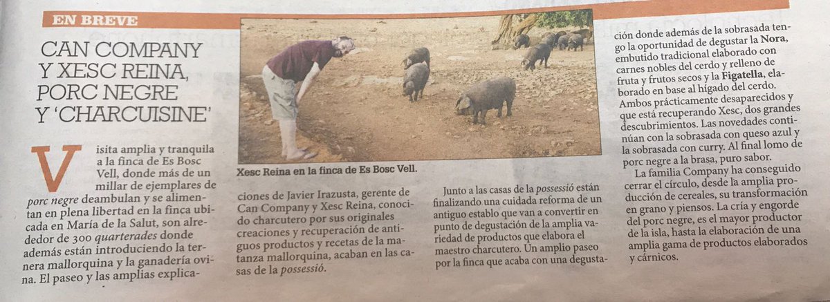 Can_Company's tweet photo. Un pequeño resumen de lo que podréis encontrar en la visita a la finca Es Bosc Vell.
¡Muchas gracias a @diariomallorca por la publicación! https://t.co/gWNKI4rAQu