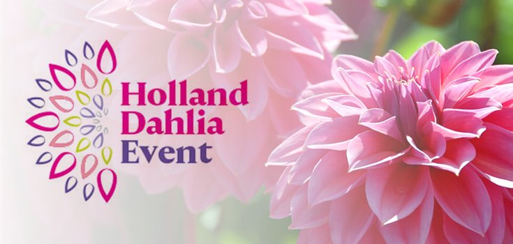Kapiteyn is #FriendoftheDahlia during the #HollandDahliaEvent. Want to know more? Have a look at their website! hollanddahliaevent.com/hollanddahliae…
