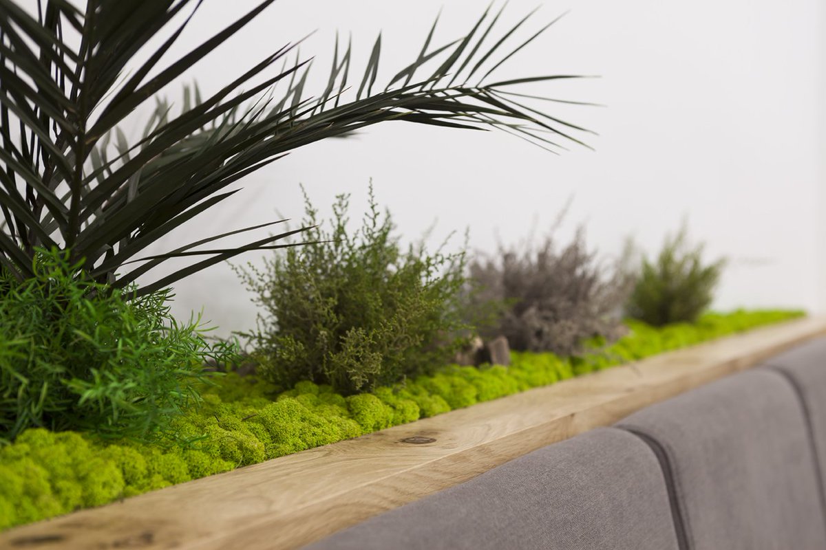 greenarea2's tweet photo. #jardininterior que va más allá de la verticalidad #greencreativity #decoracion #diseñointerior #naturaleza #arquitectura #plantasinterior https://t.co/bi033IxSZv
