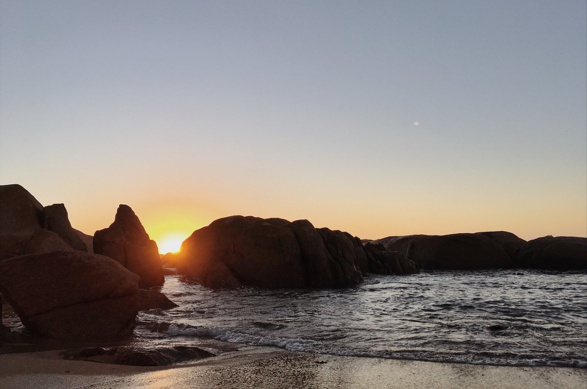 slowdrivemag's tweet photo. Fossils, foraging, flying insects and feral rabbits – an alternative exploration of the West Coast #visitWestCoast https://t.co/nezgV5pPUo https://t.co/yxkgOeCR1v