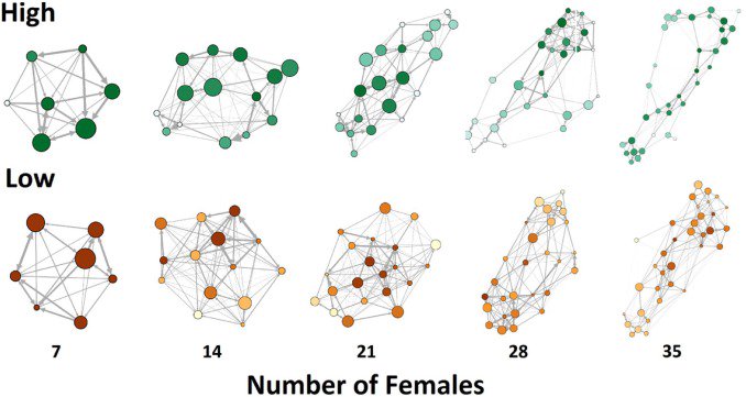 cedricsueur's tweet photo. New pub. in Ecological Complexity with @IvanIvanpuga 
"Emergence of complex social networks from rules of thumb"
https://t.co/TvmrXVj8iG https://t.co/tAl3yw26Fp