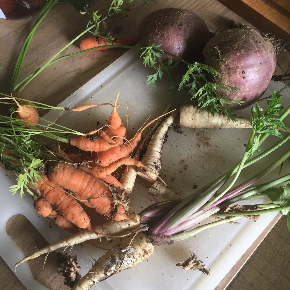 Marie_Chorley's tweet image. Amazing haul from my parents garden! #veg #garden #Homegrown #organic