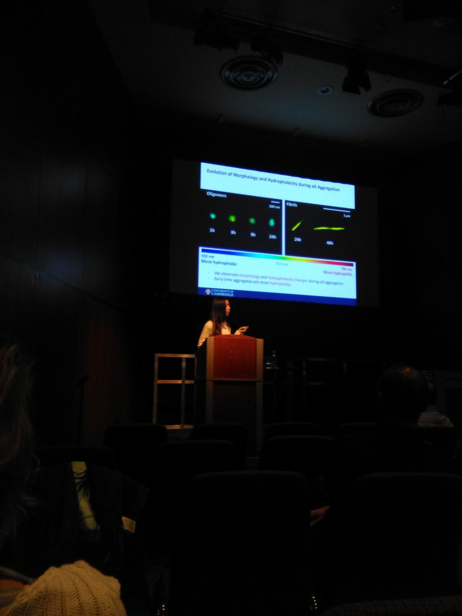 MathewHHorrocks's tweet photo. #Biophysics2017 Dr. Ji-Eun Lee PAINTing the whole picture on why oligomers may be toxic https://t.co/TrijTlRAra