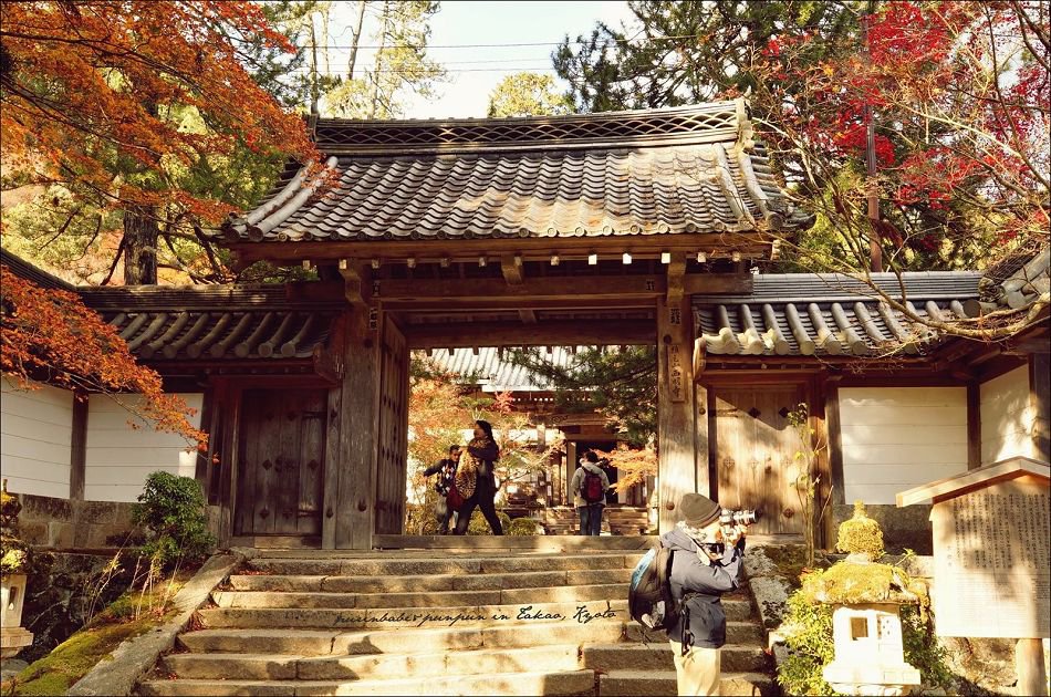 TourankApp's tweet photo. The beautiful Saimyoji Temple in Kyoto in autumn. #Japan #kyoto #autumn #redleaves #temple #travel #BackToYou #LustForLife #saimyoji #Tours https://t.co/w9qcTvt9py