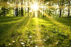 SyrusWills's tweet photo. #Fridayfact We're a Member of the Society of #Willmakers &amp; we support with Estate Planning &amp; Powers of Attorney #Funeralplanning @madeinbury https://t.co/EPpPXOIyAj