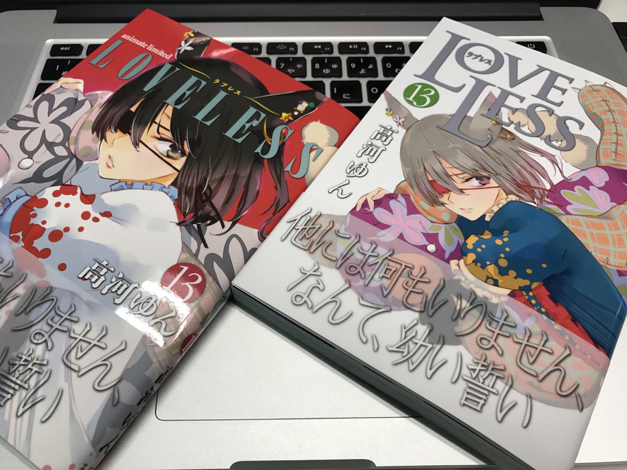 杉野庸介 7月25日 高河ゆん Loveless 第13巻 ついに発売です お待たせいたしました アニメイト限定版もあります どうかよろしくお願いします ぜひお読みいただきましてご感想等お寄せいただけますようお願いします T Co 8gu3rnjmgm