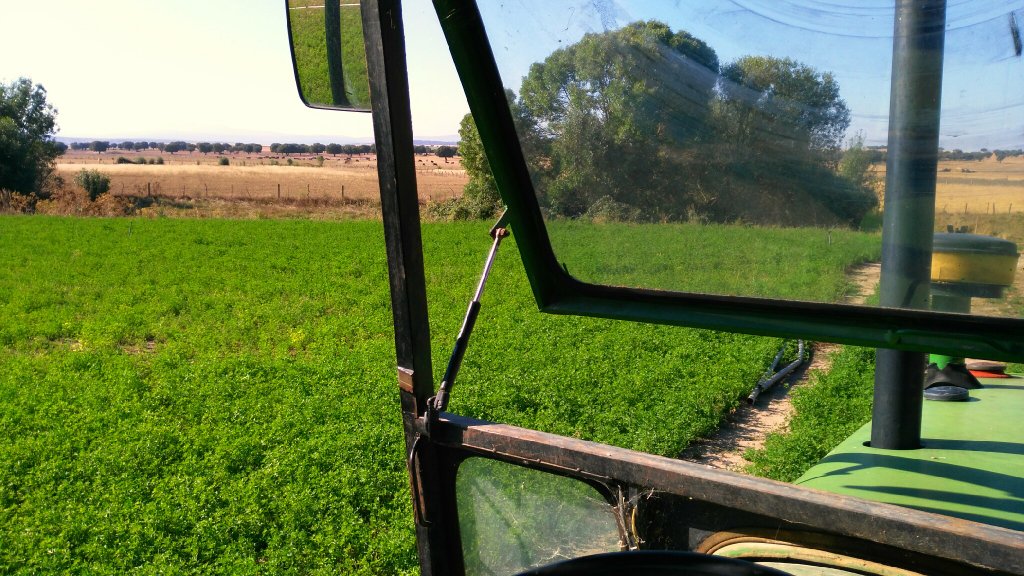Bernard_GD's tweet photo. Si, soy de campo, taurino, cazador y amante de los animales... Y q, pasa algo... https://t.co/NI6Bqb6BQm
