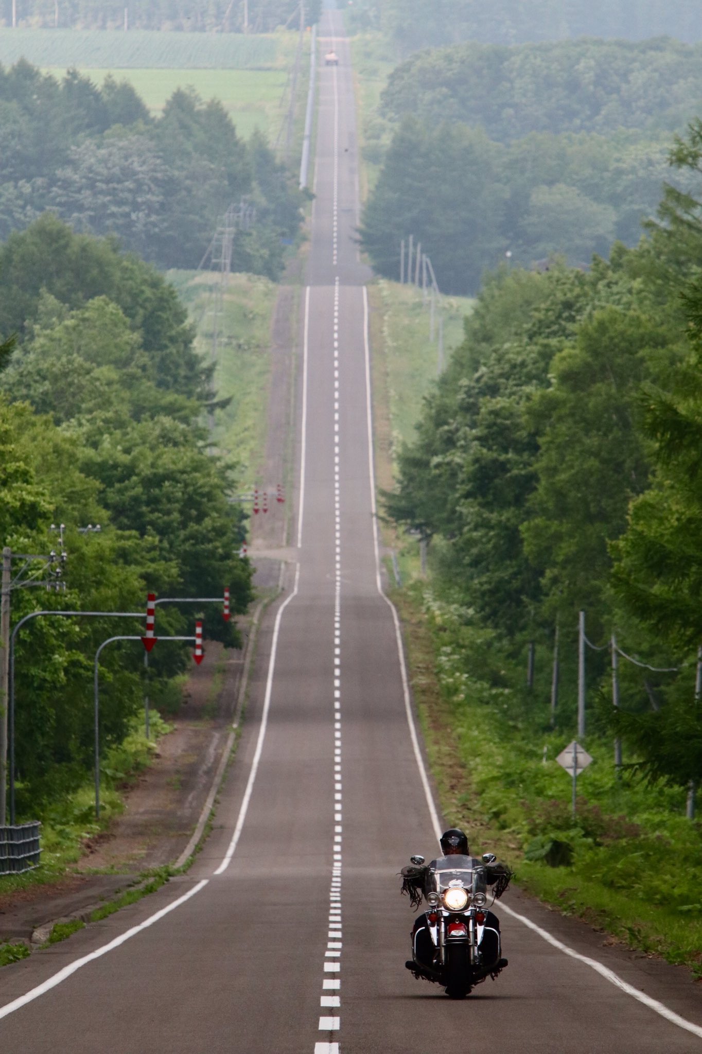 豆柴こたろう 中標津町のジェットコースターの路 ミルクロード です 歩道からこのアングルで撮れるのが安全でうれしいです ミルクロード 中標津町 ジェットコースターの路 T Co Sslfpa0hvz Twitter