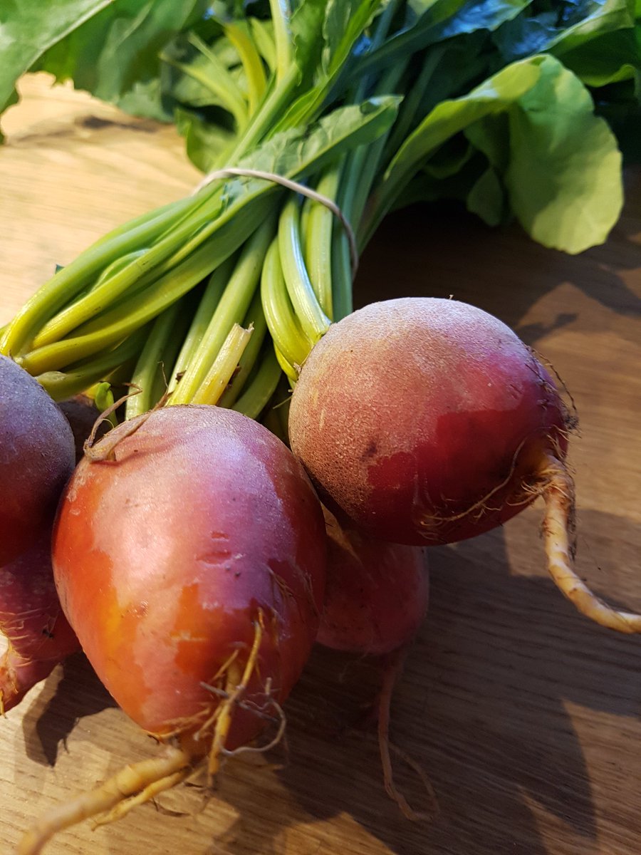 SimplySoulfulUK's tweet photo. Loving the look of my #yellowbeetroot from @pretty_local. Looking forward to experimenting with this tasty bunch. https://t.co/iyNsSzAZyw