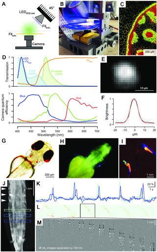 StaklenoZvono's tweet photo. #3DOpenSource #FuorescenceMicroscopy, #optogenetics: #zebrafish #drosophila #caenorhabditiselegans @plos https://t.co/gVh0fxqFM4 https://t.co/hoETMXFKKZ