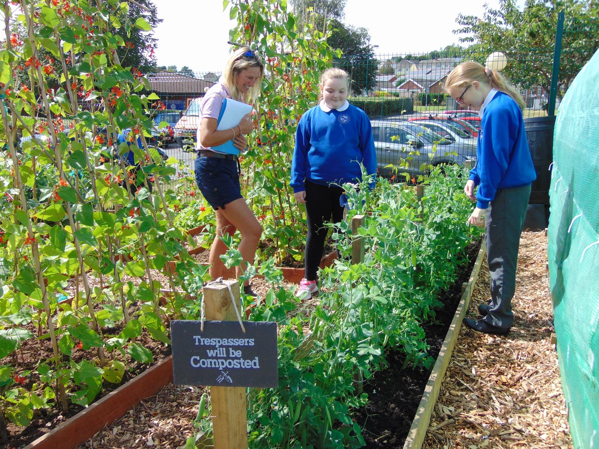 BGinBloom's tweet photo. This is what happens when you judge BG in Bloom @LynneAllbutt @BeaufortHillPri @DeightonPrimary @BlaenauGwentCBC @BGEco_Education https://t.co/qmLfMoy6UR