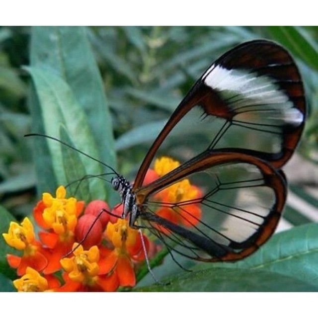 EarthPix tweet picture