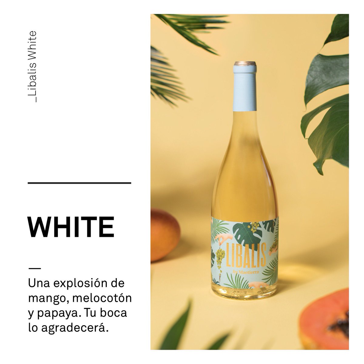 libaliswine's tweet photo. @democraticwines Nuevo #Libalis White. Una explosión que deja un aroma a trópico. Un sabor envolvente para viajar hacia zonas cálidas. 🌿🍑🏝Pura seda en boca. https://t.co/rgVk0fJZDf