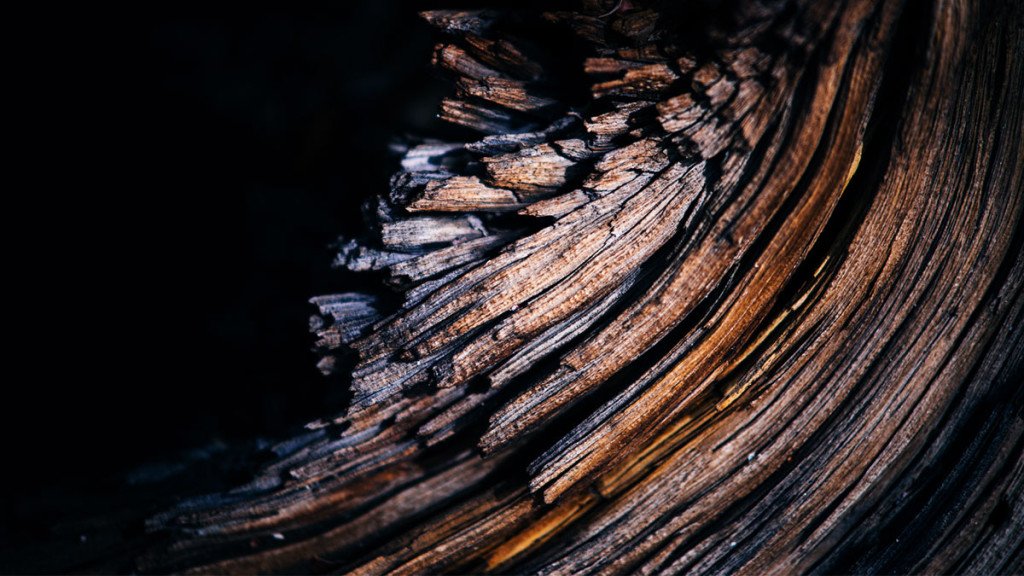 Capacity7Team's tweet image. How is your culture/organization contributing to burnout? Leaders, we need to pay attention to the messages we send. hbr.org/2017/04/employ…