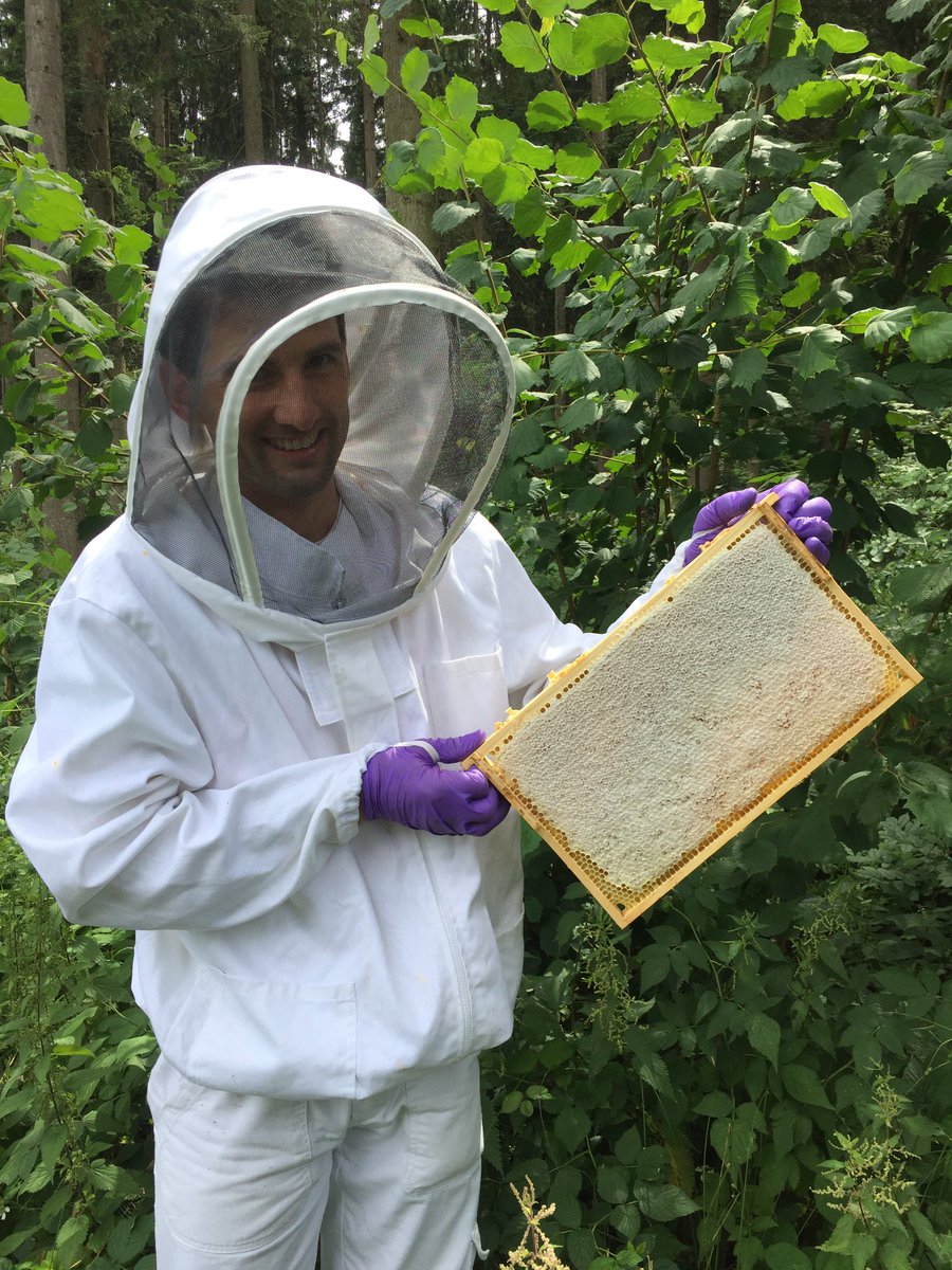 ...am Sommerhonig ernten mit <a href="/paediwieser/">Patrick Wieser</a> und <a href="/iwanschwarz/">Iwan Schwarz</a>