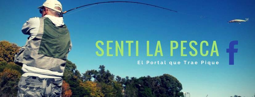 Sentilapesca's tweet photo. #Amigo pescador, visitá https://t.co/SpUx0cItgV y encontrá toda la info que te interesa! #pesca #náutica #guias #pique #tipsdepesca #recetas https://t.co/Z6VD0rAHKj