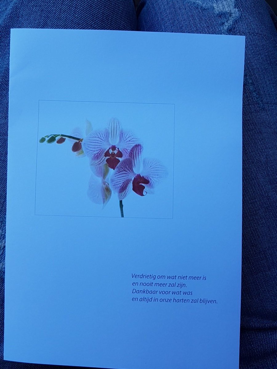 AndrLammers's tweet photo. Mooie kaart van kinderen van tante Anna. In een gezin van 10 blijft je eigen moeder dan opeens als jongste over. Generaties volgen elkaar op https://t.co/Nag2B3Tqe1