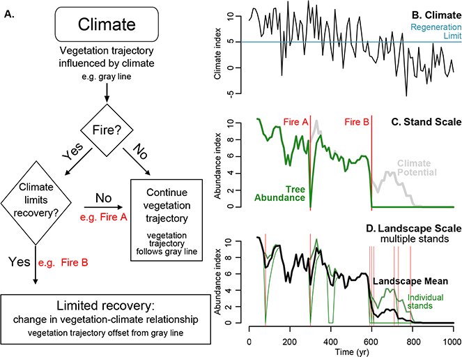ESAEcology's tweet photo. New @ESAEcology Extensive #wildfires, #climatechange, &amp; abrupt state change in #subalpine ribbon #forests, #Colorado
https://t.co/HAIKd4OXiW https://t.co/DRf8wtyG90