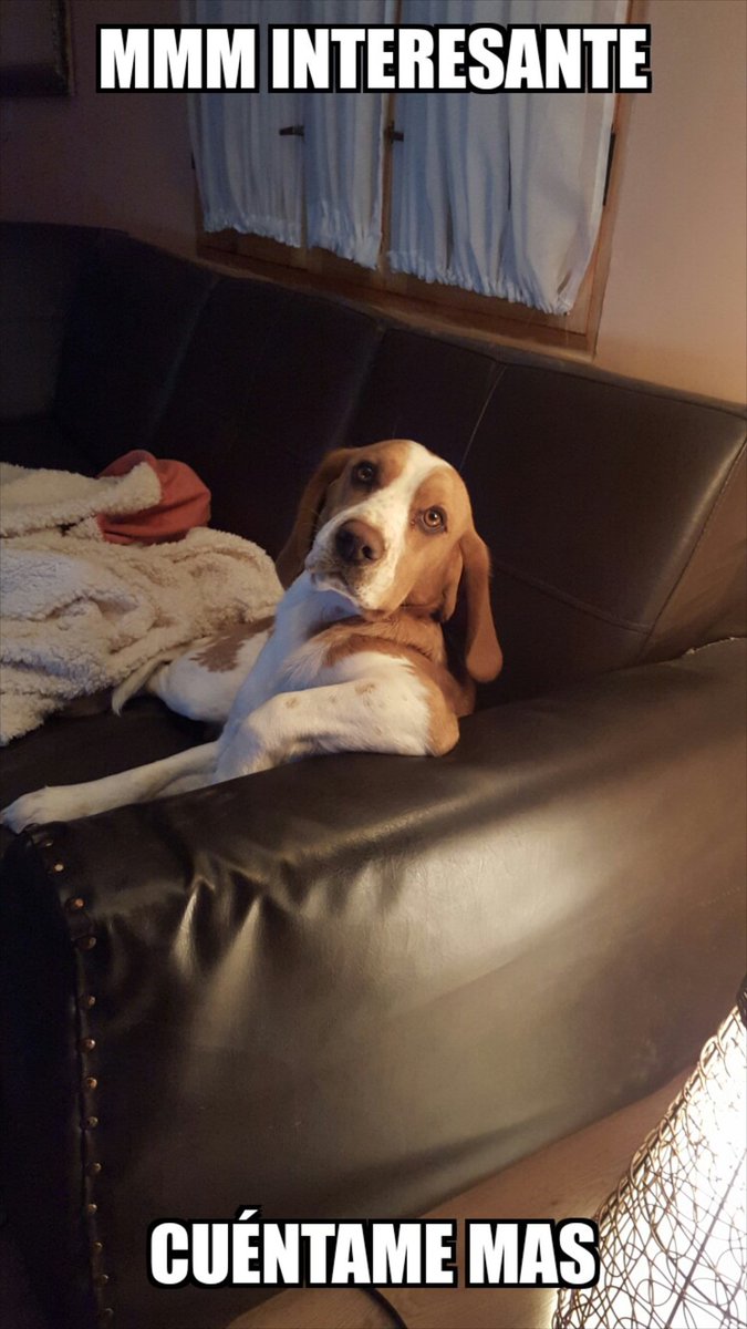 SebVeg's tweet image. Simon #LaManana