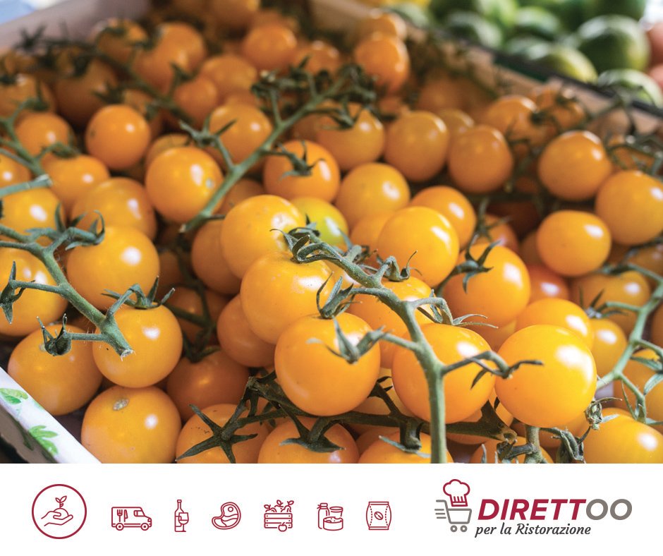 Direttoo.it tweet media