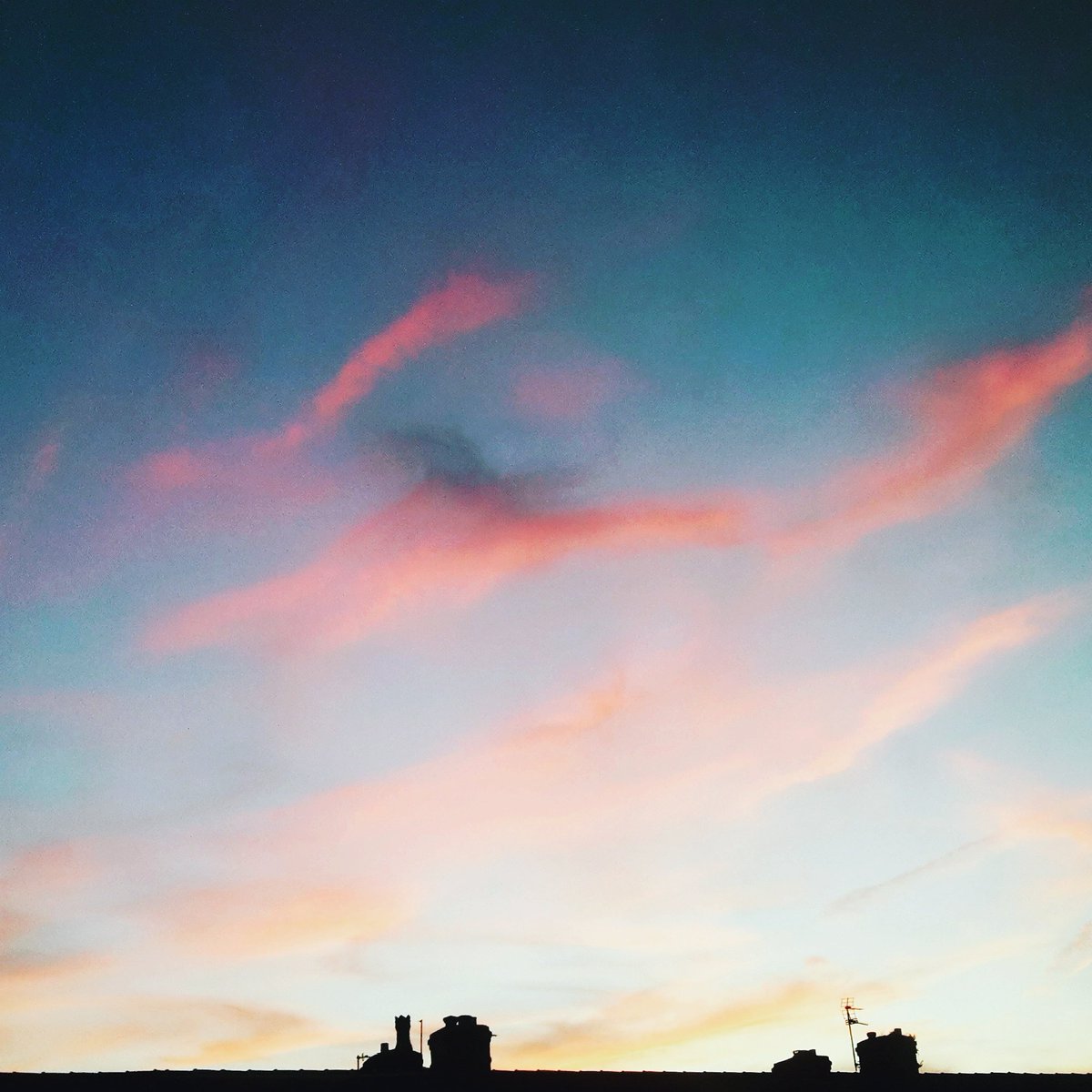 jswindowbox's tweet photo. Recent #sky #clouds pix #7 ...
#inspiringclouds #creativesky #creativeclouds #cloudporn #sunset https://t.co/ZaE87RZatm