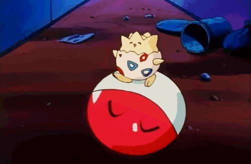 mypokemonbox's tweet photo. Togepi playing with Voltorb 👌 . . . . #Pokemon #pokemongo #pokemoncenter #ditto #pokemonlife #myjapanbox #mypokemonbox #monthlybox #premiumb https://t.co/WqPJzTSiVa
