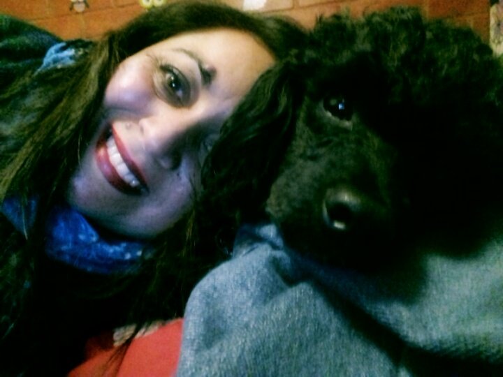 cecytemuco's tweet photo. #LaMananaDeCHV mi hachiko hermoso (adoptado) lo amamos!!! https://t.co/ubtT2Z5dHI