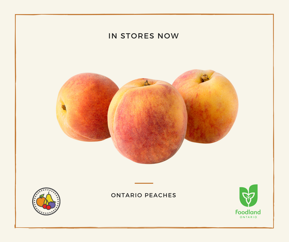 Ontario Tender Fruit tweet media