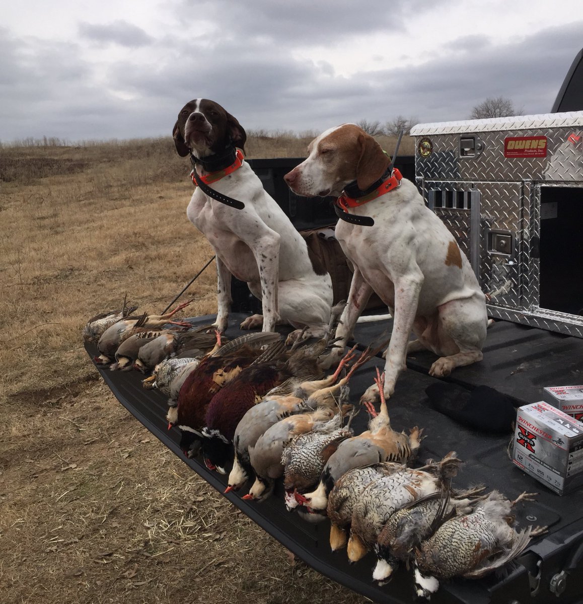 OrangeDogOutfit's tweet photo. These days are coming fast! Are you geared up? We can help with that... https://t.co/PQAnUhMqN5 #wakeupdrake #orangedogoutfitters https://t.co/VvvRRIGEpi