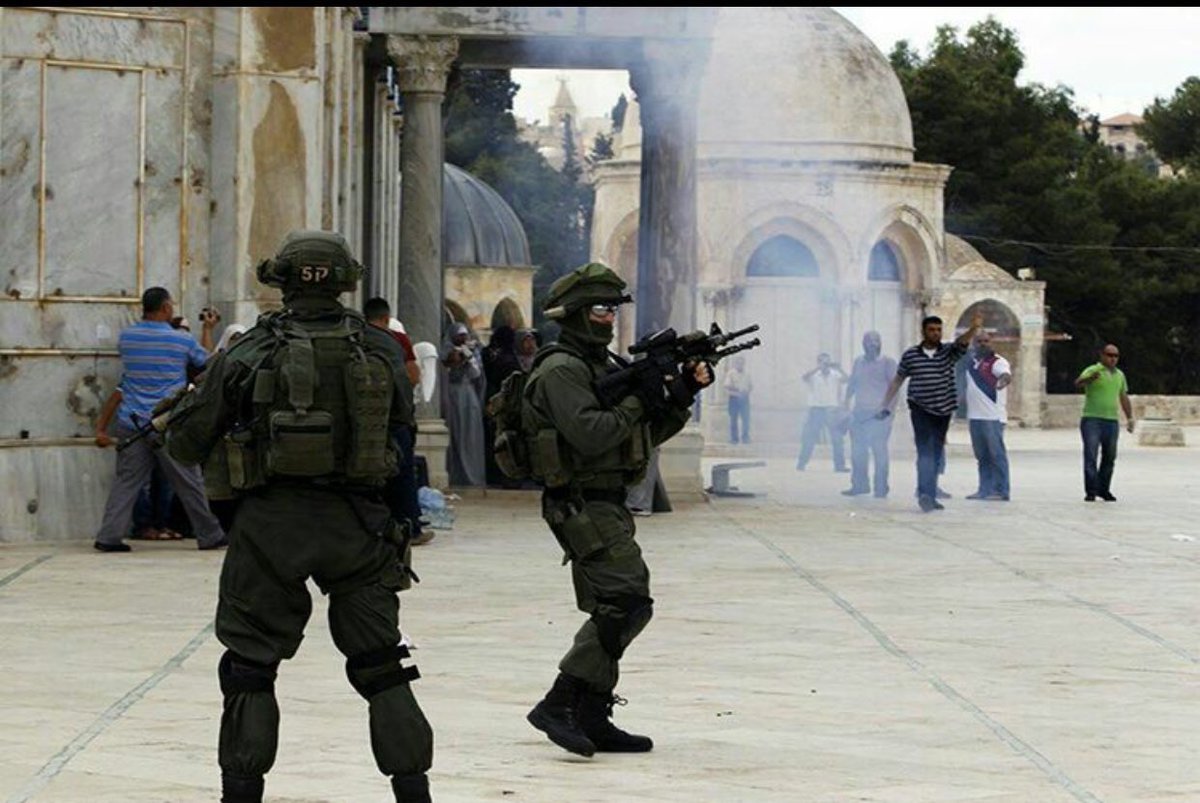 reimgohary's tweet photo. خليك انت حاصر قطر راعى الإرهاب لكن القدس وما يحدث فيها ليس سوى كباب #نداء_الاقصي https://t.co/xc1grHaehc