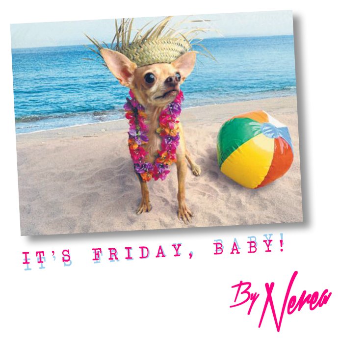 bynereaoficial's tweet photo. Muy feliz #DíaMundialDelPerro!! Y #FelizFinde, amores! Recordad, #rebajas en https://t.co/qCcxf7j0A5 #verano #summer #moda #fashion #ByNerea https://t.co/jfZNCSav0r