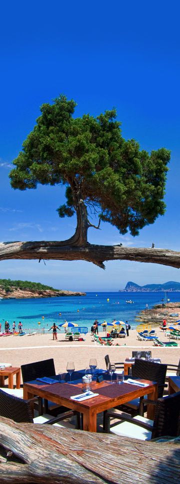 tripsection's tweet image. Cala Bassa Club de Playa, #Ibiza , #Spain