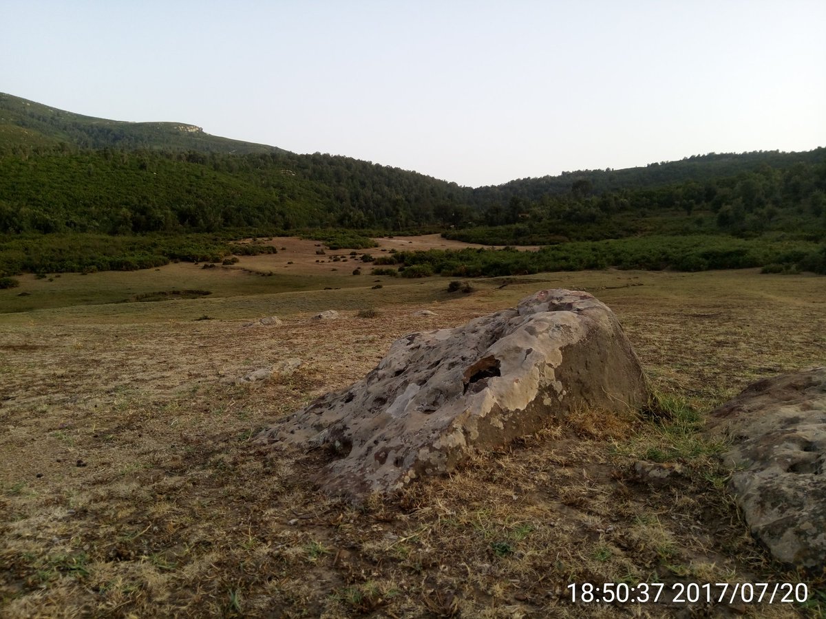 BrahimGmil tweet picture
