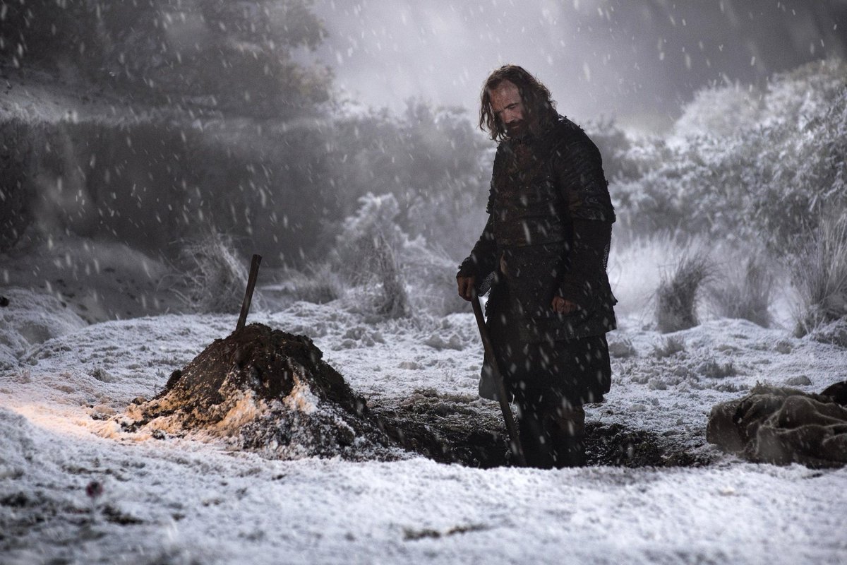juegotronosplus's tweet photo. ¡Felicidades, don Sandor Clegane! #DíaMundialDelPerro 🐶 https://t.co/nwrOdrwAMY