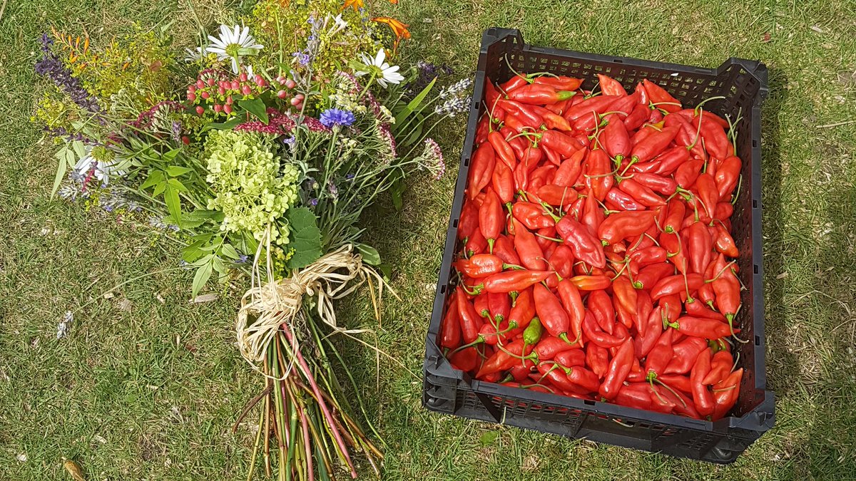 Lovely evening in #LeeGreen #London <a href="/LeeGreenWI/">Lee Green WI</a> Pleasure to meet to you all #thanks