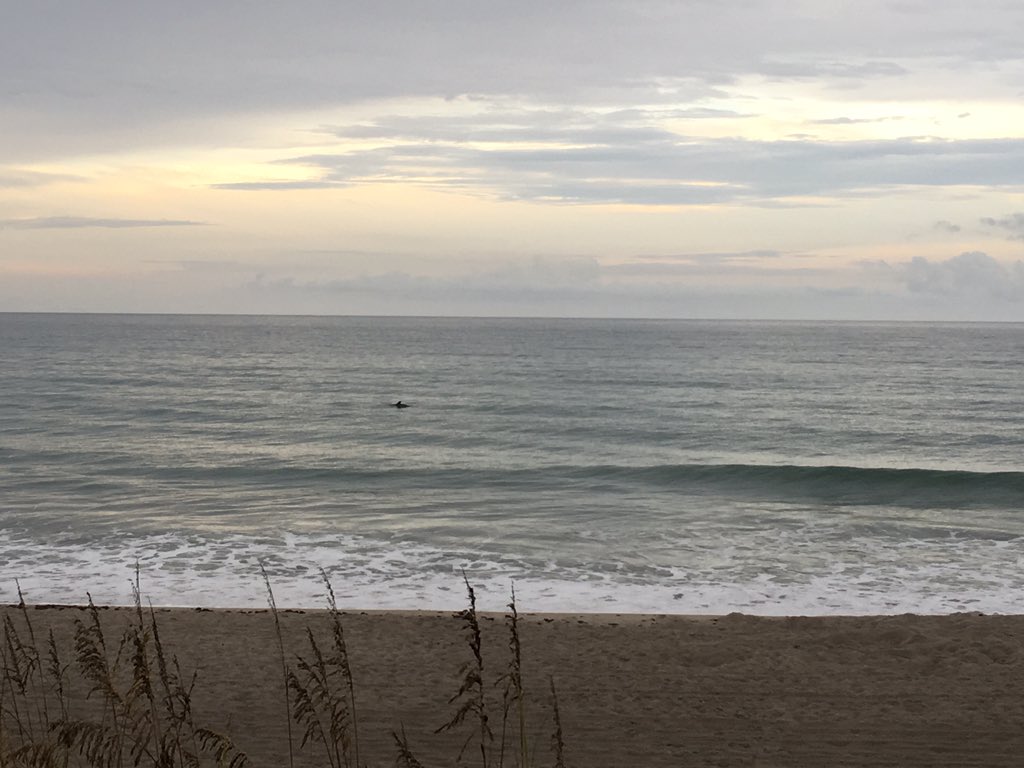 stonemms's tweet photo. We're all set for our turtle walk despite a little rain! Starting off a dolphin sighting! 🐬 🐢@GEGirlsFIT #GEGirls #STEAM https://t.co/08LIEFp092