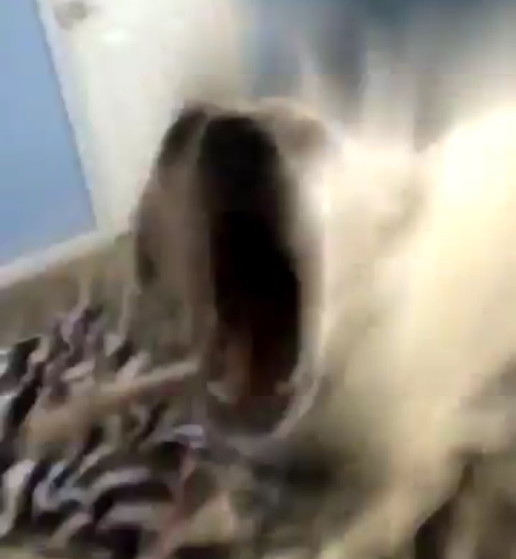 iM STILL ROCKING YOUR HOODIE AND CHEWING ON THE STRINGS <a href="/HeyViolet/">HEY VIOLET</a>