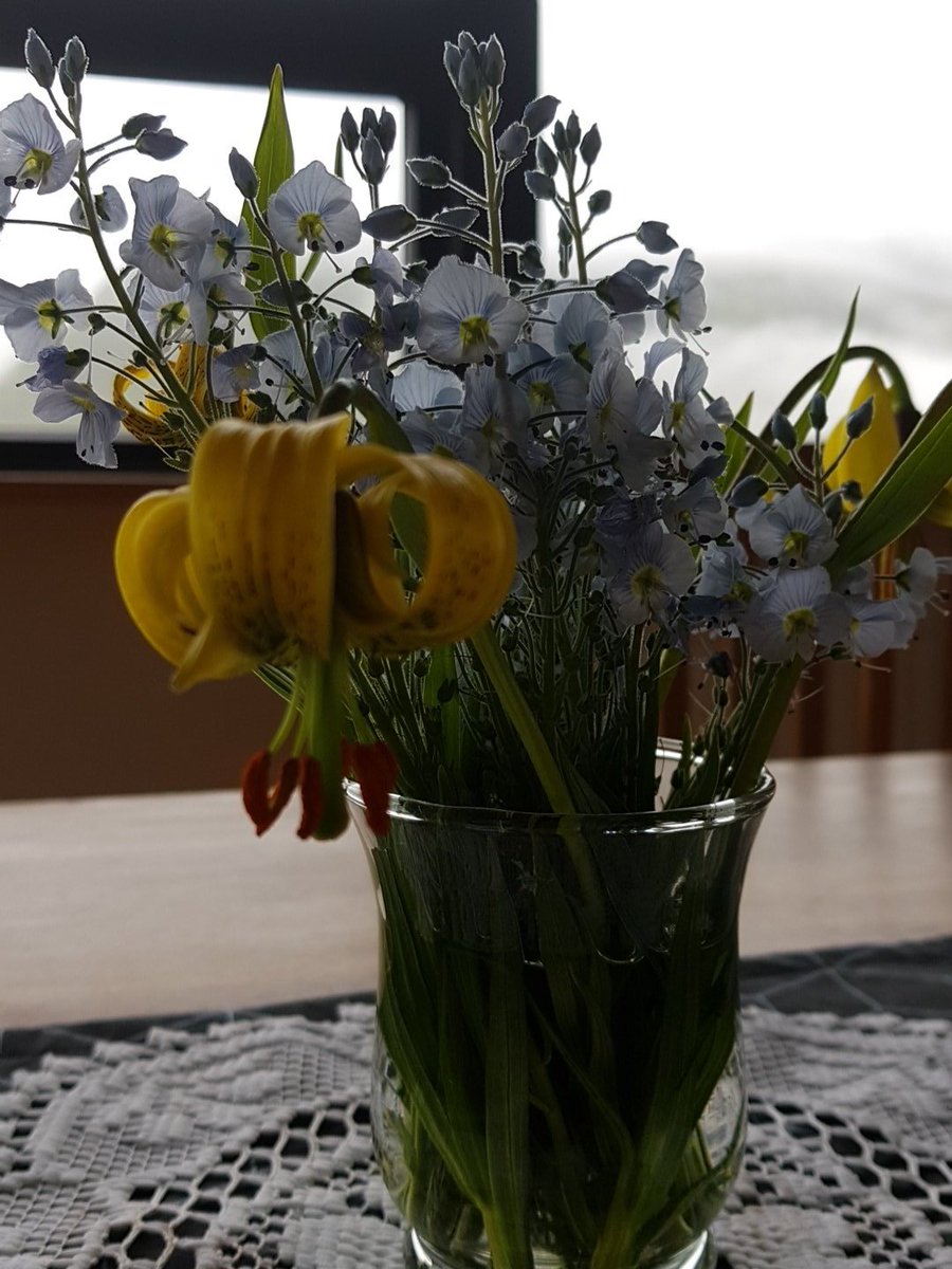 guggastebba's tweet photo. Ég reyni að hafa einhverja tengingu við sumar með blómum úr garðinum #island #blauttsumar #hvarersolin #rigning https://t.co/XcY4fYtRNG
